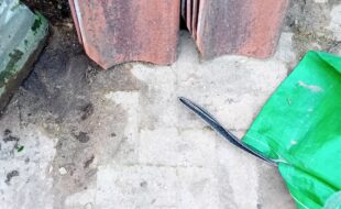 Reclaimed roof tiles